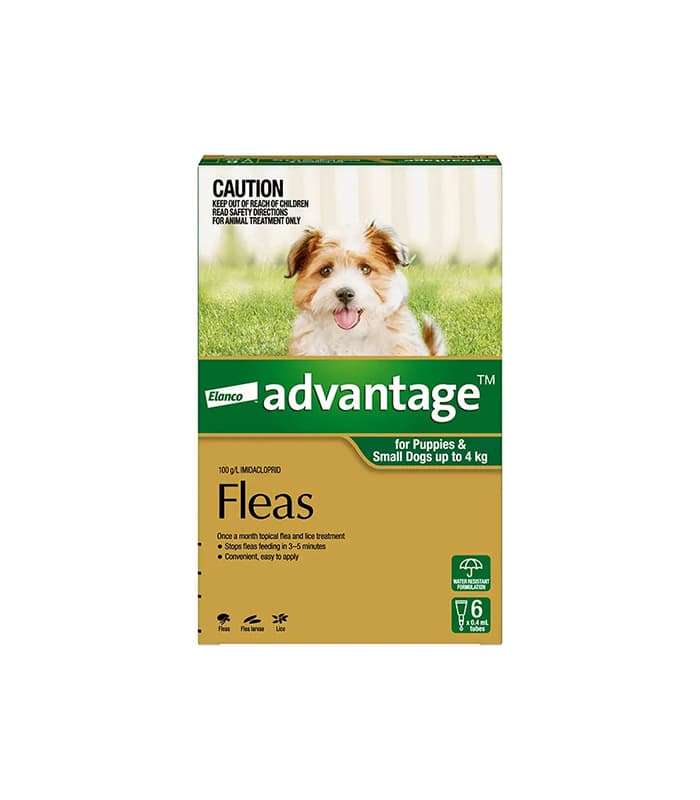 犬 服 dm サイズ - dog clothing size chart japan 2025