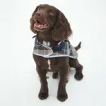 Barbour　タータンドッグコート - 画像 (4)