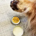 犬用肉球クリーム おー太のにくきゅうクリーム - 画像 (4)