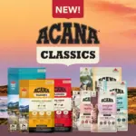 ドッグフード - 画像 (3)