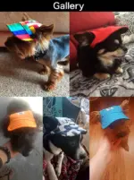 犬 猫 帽子 キャップ ペット 服 - 画像 (4)