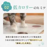 キャットフード​ - 画像 (3)