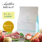 lead in 意味 - Professional Guide and Review