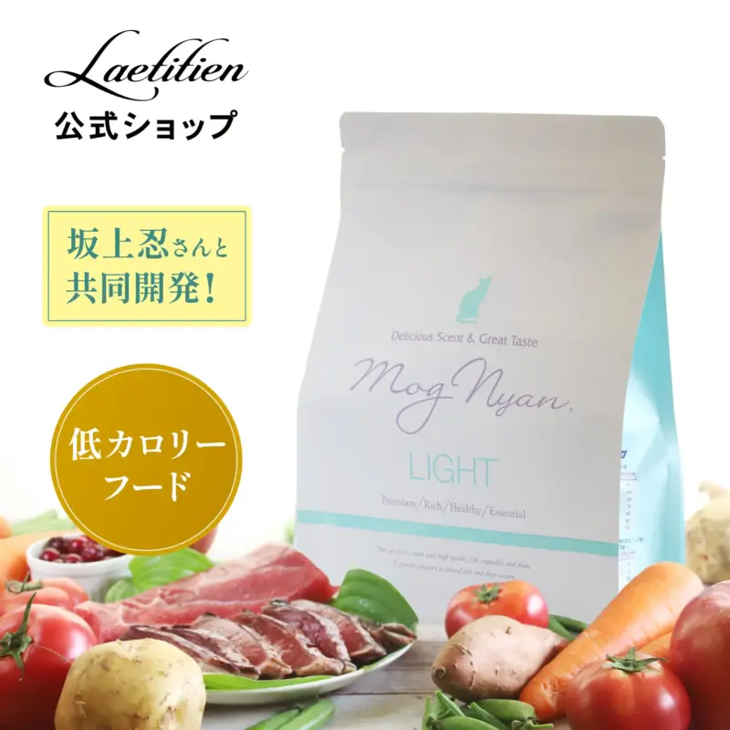 lead in 意味 - Professional Guide and Review