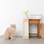 柱コーナー爪とぎ - 画像 (2)