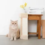 柱コーナー爪とぎ - 画像 (3)