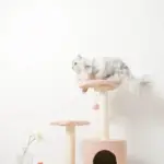 星とお月さまのキャットタワー - 画像 (3)