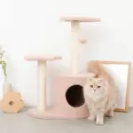 星とお月さまのキャットタワー - 画像 (4)