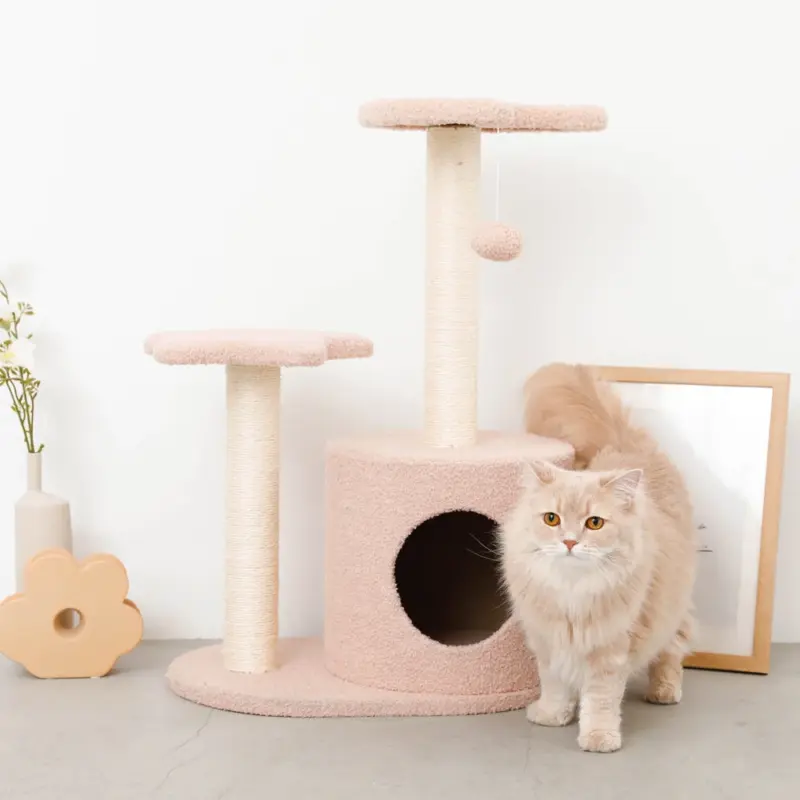 dress in 意味 - Professional Guide and Review