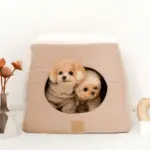 2wayペットハウス - 画像 (4)