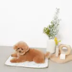 tomboniaコラボひんやりジェルマット - 画像 (8)