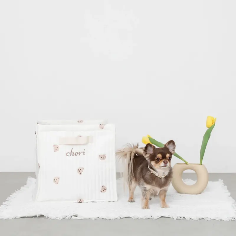 可愛い 首輪 - Professional Guide and Review