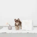 キルティング刺繍マルチボックス【名入れ刺繍対応】 - 画像 (8)