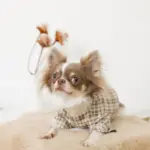 ファーフラワーペットベッドマット - 画像 (6)