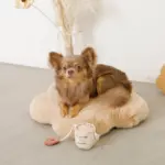 ファーフラワーペットベッドマット - 画像 (10)