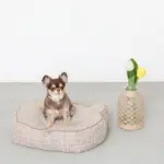 くまさんフェイスドッグベッド - 画像 (3)