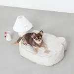 くまさんフェイスドッグベッド - 画像 (5)