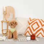 ジグザグフリンジクッション - 画像 (5)