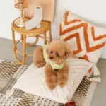 ジグザグフリンジクッション - 画像 (6)