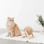 くるくる回転爪とぎ - 画像 (3)