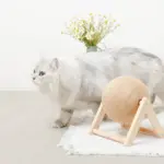 くるくる回転爪とぎ - 画像 (4)