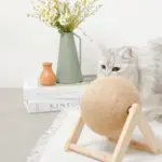 くるくる回転爪とぎ - 画像 (5)