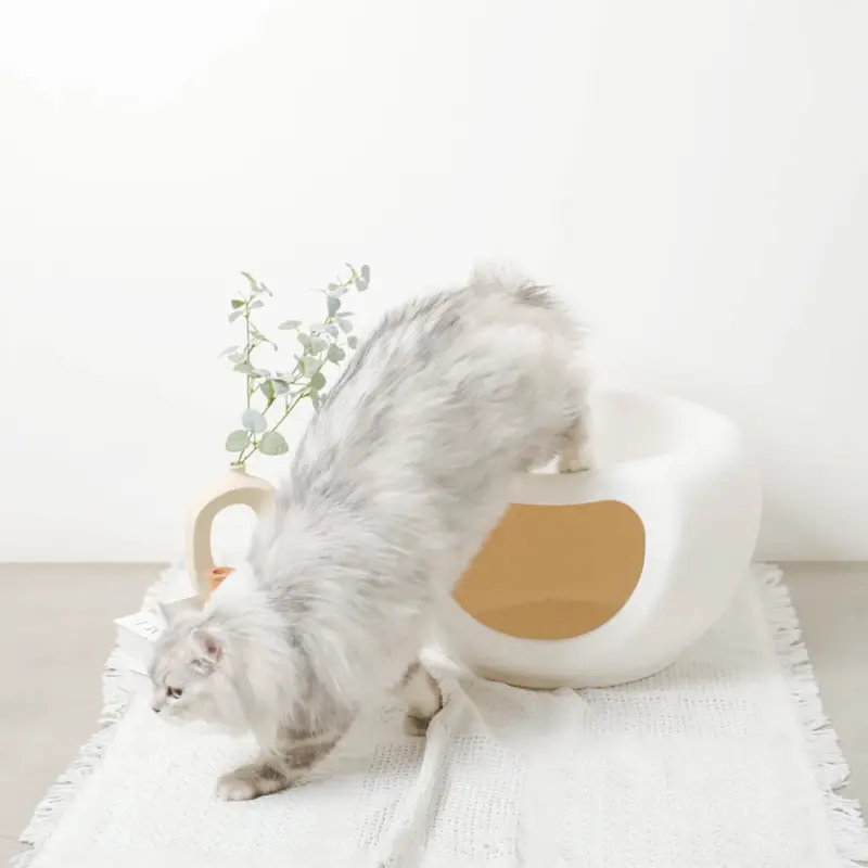 中型 犬 キャリー ケース - Professional Guide and Review