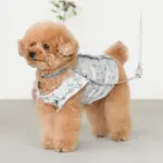 リングライトリード - 画像 (3)