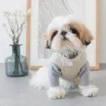 レザークラフトサークルネックレス - 画像 (5)