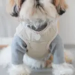 レザークラフトサークルネックレス - 画像 (6)