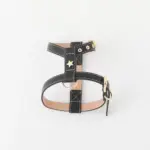 レザーハーネス　SMALL - 画像 (2)