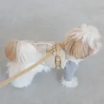 レザーハーネス　SMALL - 画像 (3)