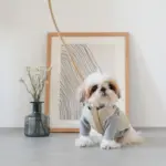 レザーハーネス　SMALL - 画像 (4)