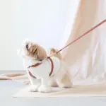 レザーハーネス　SMALL - 画像 (6)