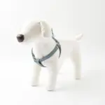 シュリンクレザーハーネス - 画像 (6)