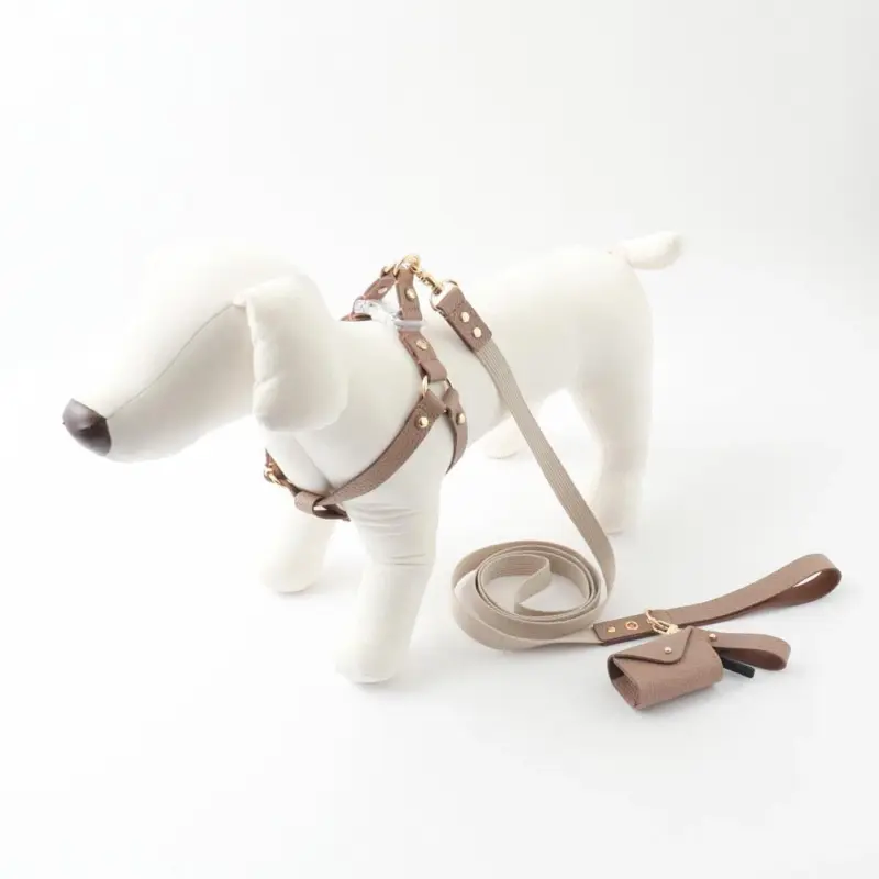 カラビナ ノベルティ - Professional Guide and Review