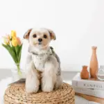 チューリップ柄ハーネス+リードSET【名入れ刺繍対応】【旧モデル】 - 画像 (4)