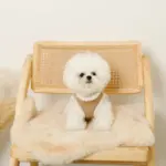 エコレザーボアMIXハーネス+リードSET【名入れ刺繍対応】【旧モデル】 - 画像 (2)