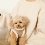 エコレザーボアMIXハーネス+リードSET【名入れ刺繍対応】【旧モデル】 - 画像 (9)