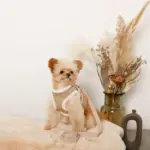 エコレザーボアMIXハーネス+リードSET【名入れ刺繍対応】【旧モデル】 - 画像 (10)