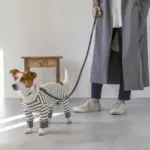 サークルチャームレザーカラー MEDIUM - 画像 (3)