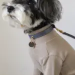 サークルチャームレザーカラー MEDIUM - 画像 (5)