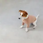 サークルチャームレザーカラー MEDIUM - 画像 (8)