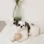 くまさんボアボール