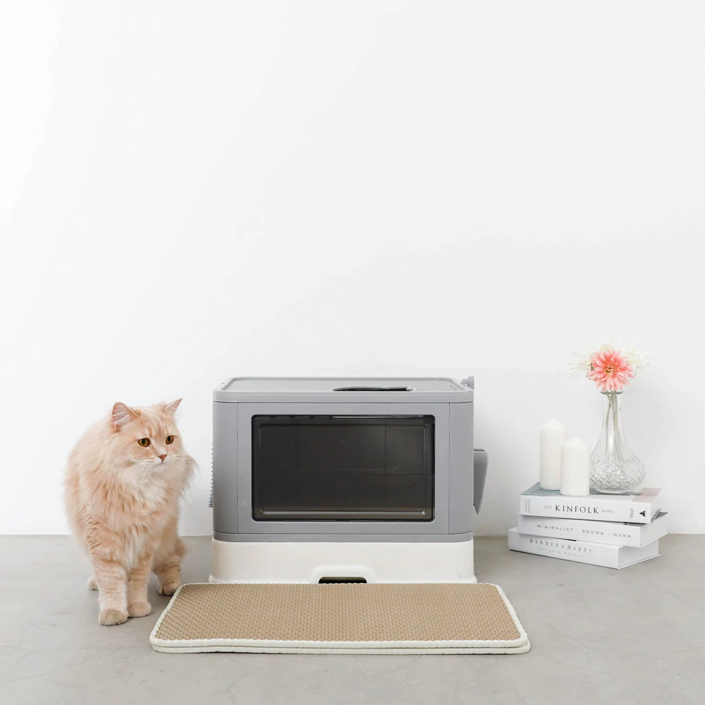 チェリー ハウス インテリアコーディネート