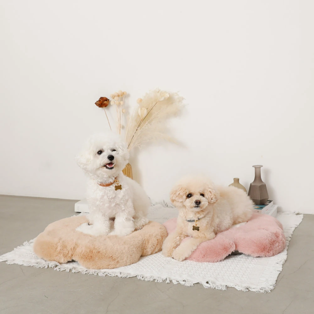 犬 お出かけ バッグ 価格帯別比較表